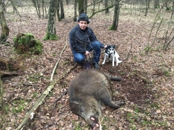 Björn Dangeleit mit Anka Wildschwein mit Wanderer mit Hund